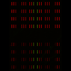 Barcode microarray